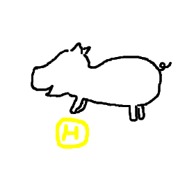 pig